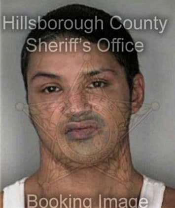 Shad Nash, - Hillsborough County, FL 