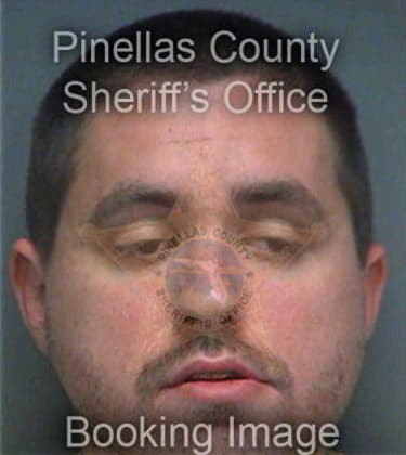 Joshua Nelson, - Pinellas County, FL 