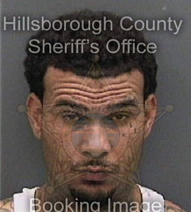 Earnest Sampson, - Hillsborough County, FL 