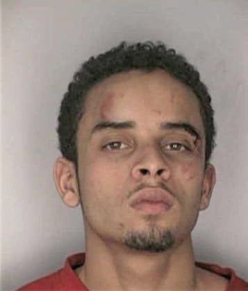 Benjamin Williams - Hillsborough County, FL 
