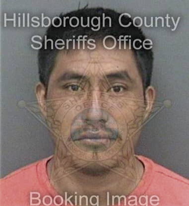 Michael Albritton, - Hillsborough County, FL 