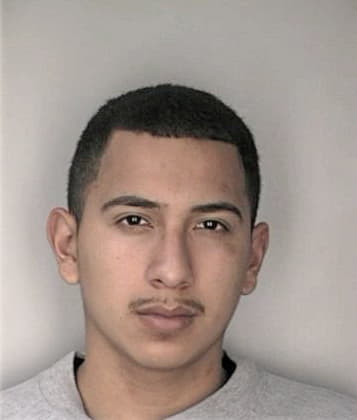 Jared Bolli - Hillsborough County, FL 