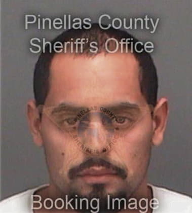 Cristobal Colomer, - Pinellas County, FL 