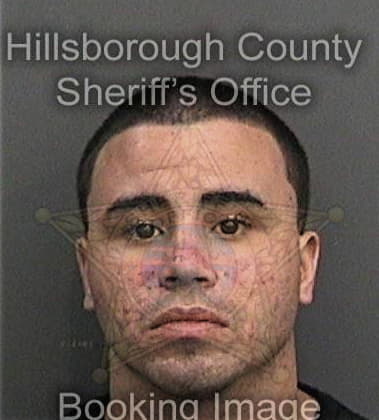 Michael Hansen, - Hillsborough County, FL 