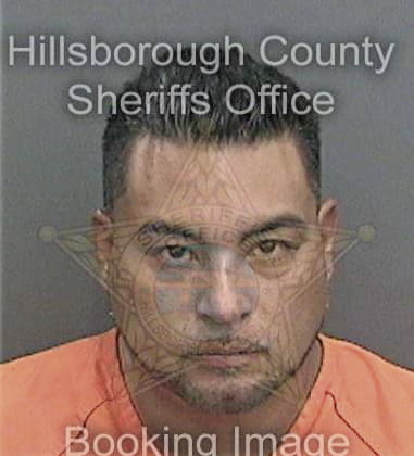 Ronald Hurst, - Hillsborough County, FL 