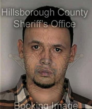 Migual Mezafuentes - Hillsborough County, FL 