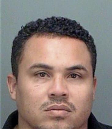 Florencio Perezsantos, - Pinellas County, FL 