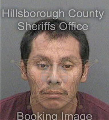 David Bankston, - Hillsborough County, FL 