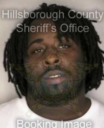 Horace Johnson, - Hillsborough County, FL 