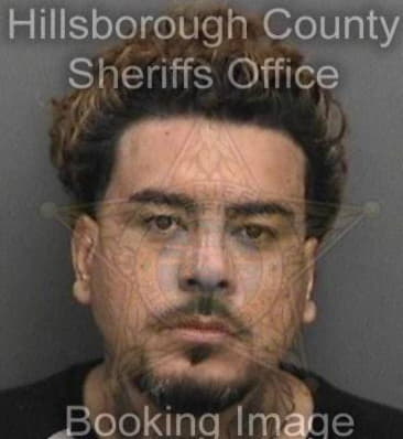 Hector Santiago, - Hillsborough County, FL 