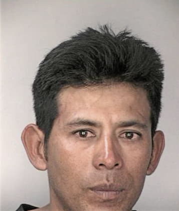 Cesar Bonelli - Hillsborough County, FL 