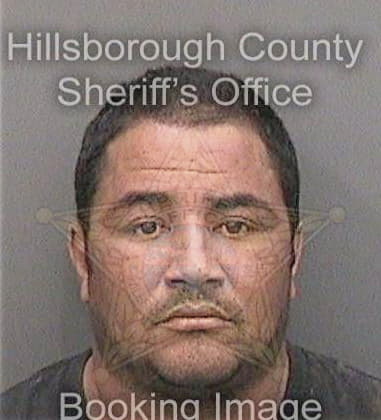 Amir Mansour, - Hillsborough County, FL 