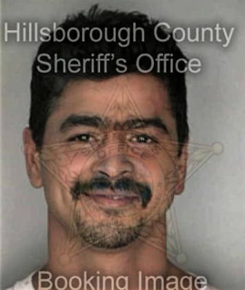 Shawn May - Hillsborough County, FL 