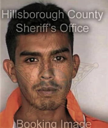 Casey McMahon - Hillsborough County, FL 