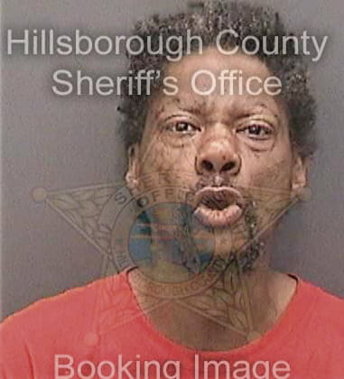 Demetrius Palmer, - Hillsborough County, FL 