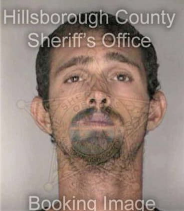 Fliber Rodriguezsanchez, - Hillsborough County, FL 