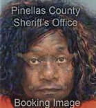 Shyanee Ross, - Pinellas County, FL 