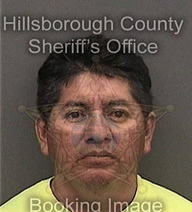 Maurice Doyle, - Hillsborough County, FL 