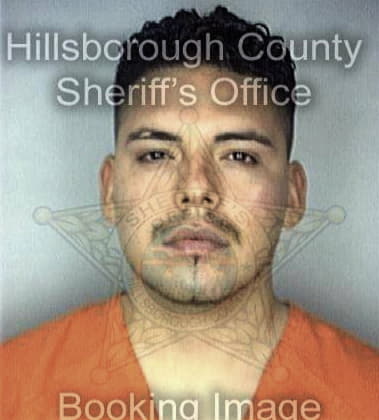 Jaun Feliciano, - Hillsborough County, FL 