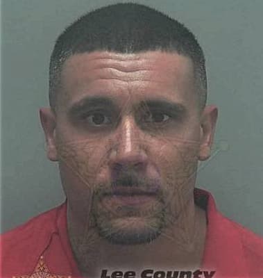 David Gerges, - Lee County, FL 