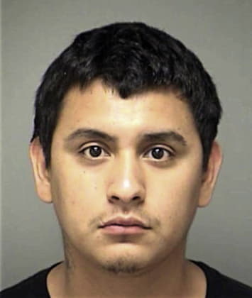 Salvador Hernandez-Lozano, - Denton County, TX 