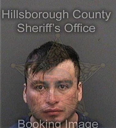 Michael Pupello, - Hillsborough County, FL 