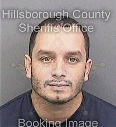 Paul Drobnis, - Hillsborough County, FL 