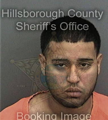 Anthony Fowler, - Hillsborough County, FL 