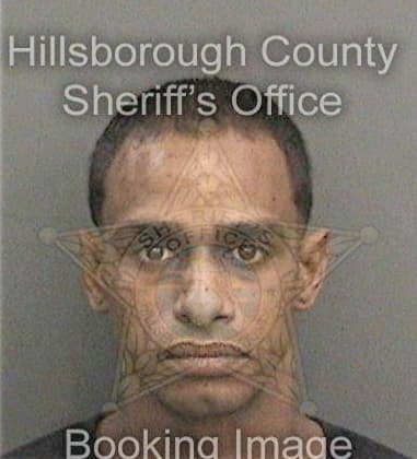 Shawn King, - Hillsborough County, FL 