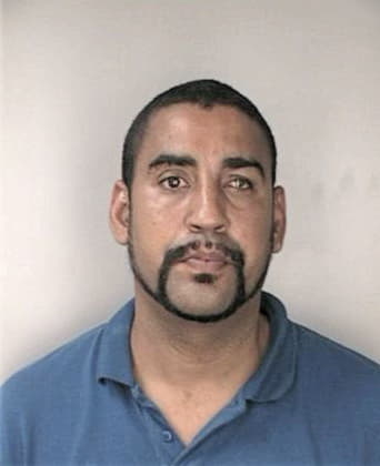 Troy Mineo - Hillsborough County, FL 
