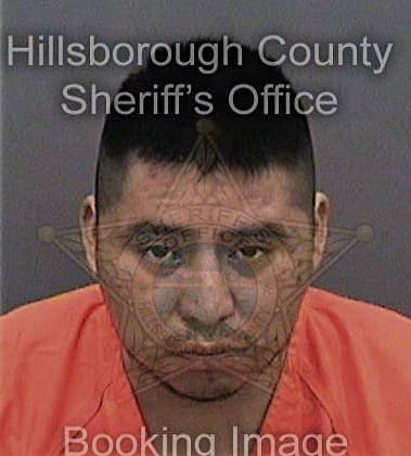 Alex Monrial, - Hillsborough County, FL 