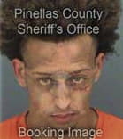 Labray Dyer, - Pinellas County, FL 