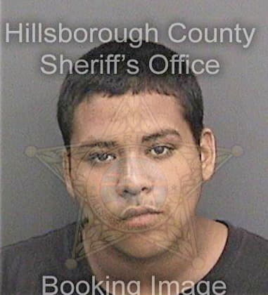 David Liss, - Hillsborough County, FL 