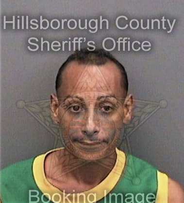 Carlos Oyangurenrosado, - Hillsborough County, FL 