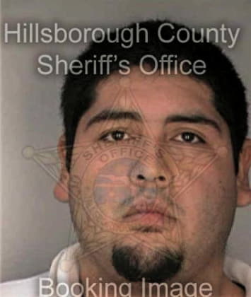 Edilzar Perez, - Hillsborough County, FL 