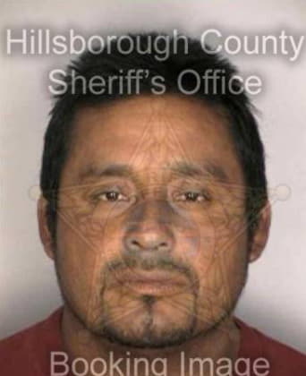 Eldon Ramos, - Hillsborough County, FL 