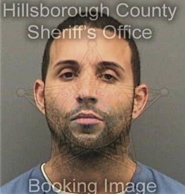 Nicholas Decosta, - Hillsborough County, FL 