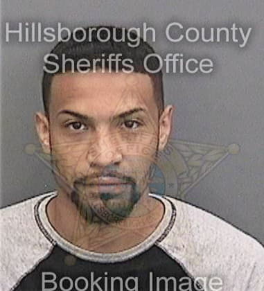 Daniel McGovern - Hillsborough County, FL 