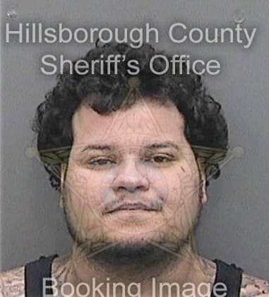 Christopher Morris, - Hillsborough County, FL 