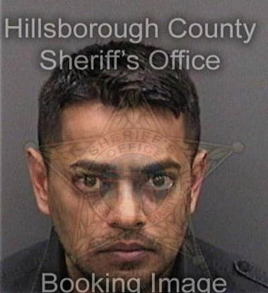 Mohammad Sheikh, - Hillsborough County, FL 