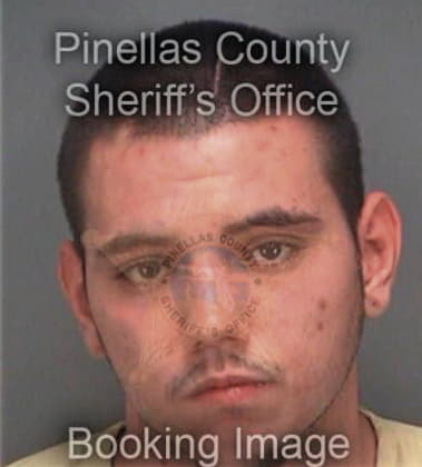 Dylan Sims - Pinellas County, FL 