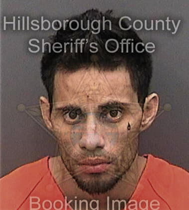 Anthony Hofbauer, - Hillsborough County, FL 