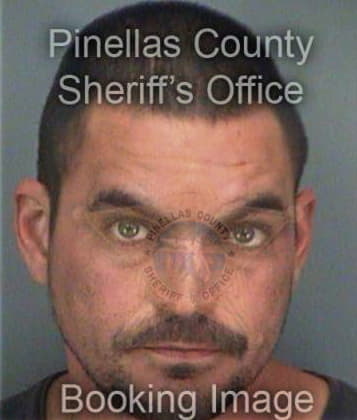 Gregory McClain - Pinellas County, FL 