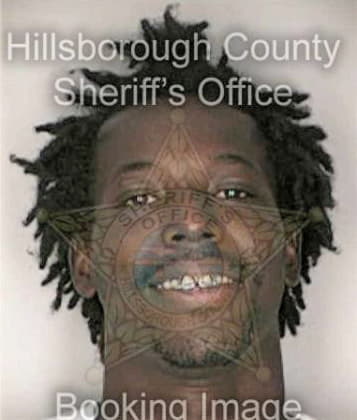 Ahmad Bivens - Hillsborough County, FL 