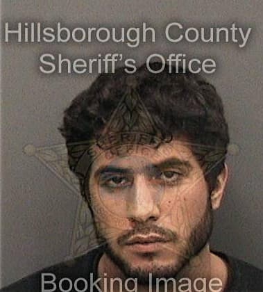 Dennis Holleran, - Hillsborough County, FL 