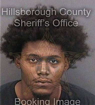 Joshua McKinney - Hillsborough County, FL 
