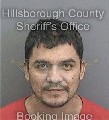 David Perez, - Hillsborough County, FL 