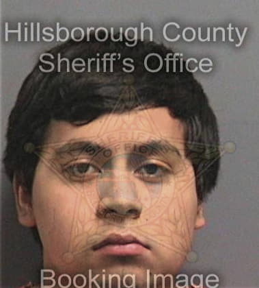 Carlos Perezhernandez, - Hillsborough County, FL 