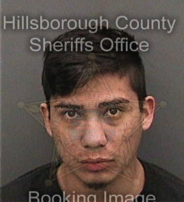 David Rokisky, - Hillsborough County, FL 