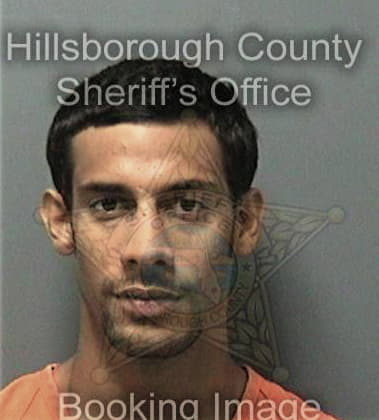 Fernando Hernandezhernandez - Hillsborough County, FL 